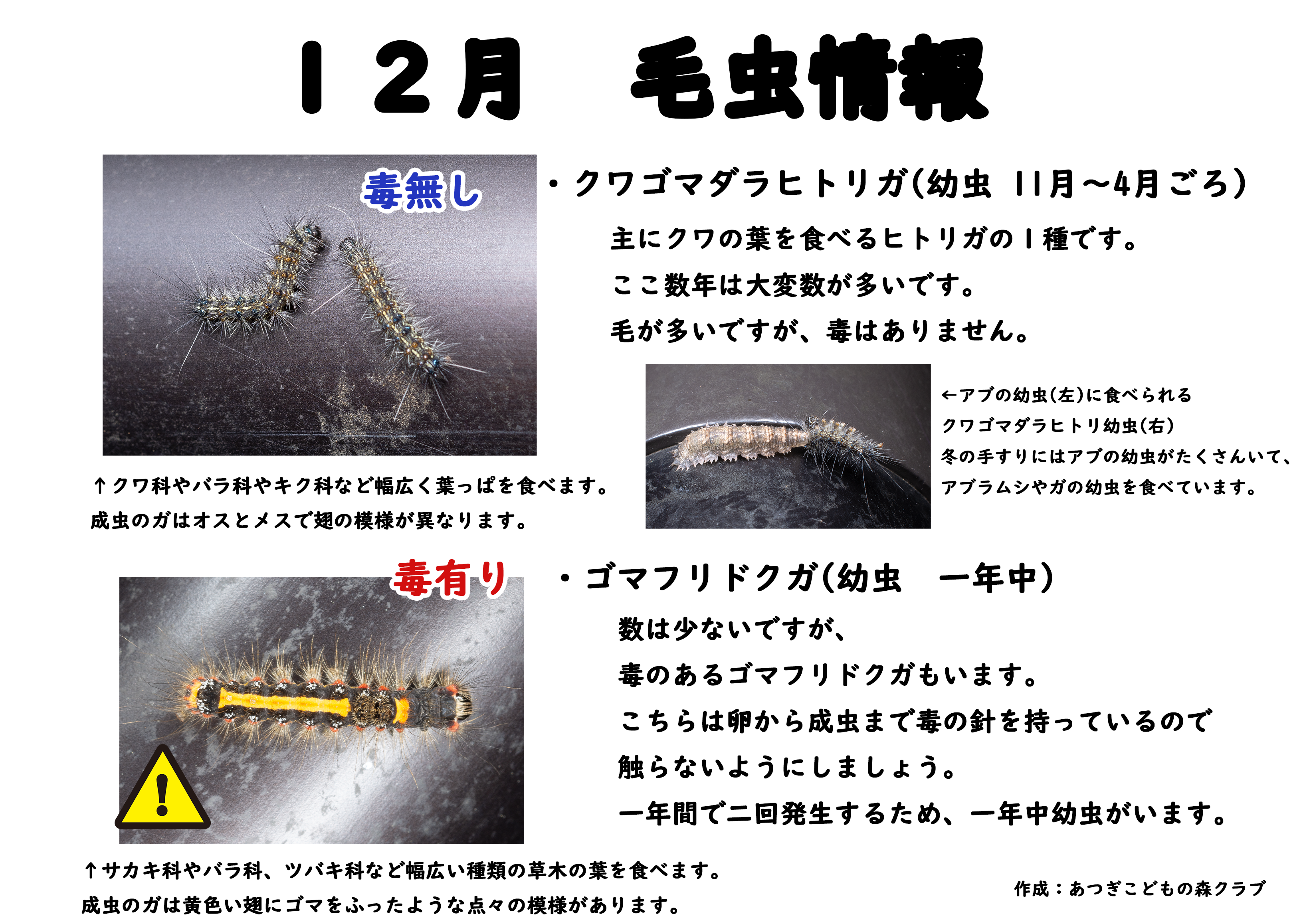 大衆演劇 鬘 御毛虫 2026年最新】大衆演劇 鬘の人気アイテム - メルカリ
